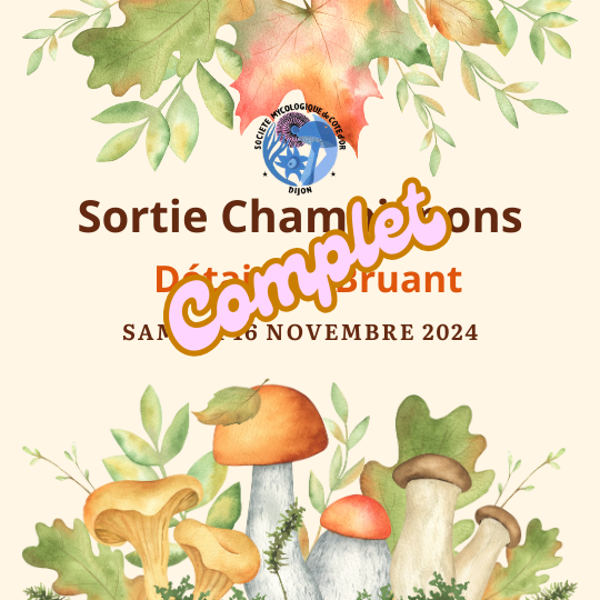 champignons nov 2024 complet